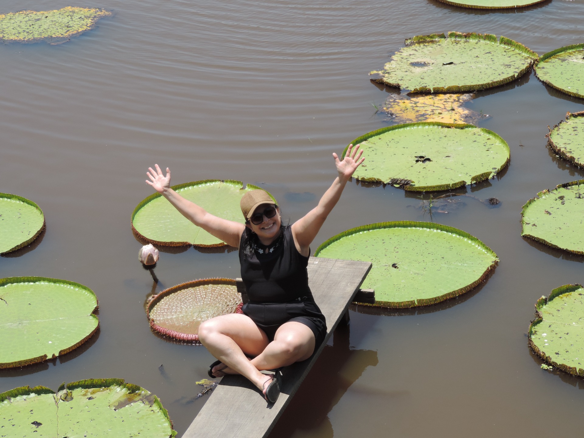 Vitória Regia 